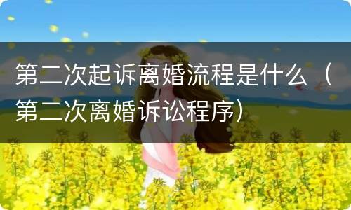 第二次起诉离婚流程是什么（第二次离婚诉讼程序）