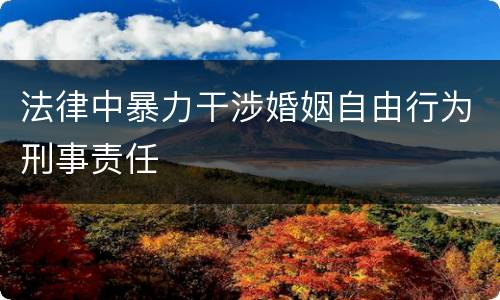 法律中暴力干涉婚姻自由行为刑事责任