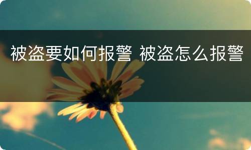 被盗要如何报警 被盗怎么报警