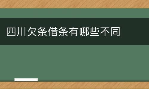 四川欠条借条有哪些不同