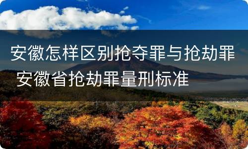 安徽怎样区别抢夺罪与抢劫罪 安徽省抢劫罪量刑标准