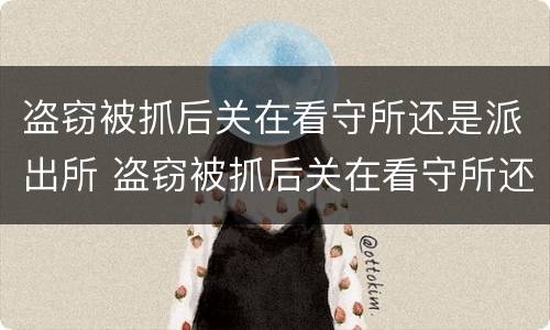 盗窃被抓后关在看守所还是派出所 盗窃被抓后关在看守所还是派出所管