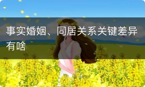 事实婚姻、同居关系关键差异有啥