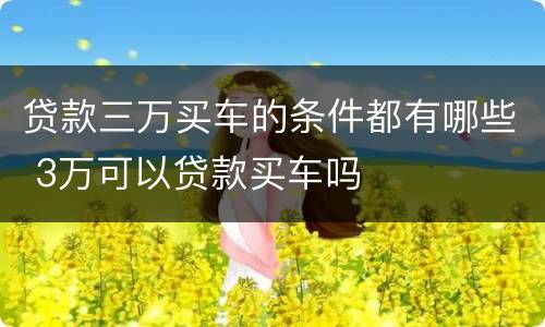 贷款三万买车的条件都有哪些 3万可以贷款买车吗