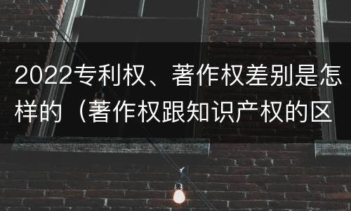 2022专利权、著作权差别是怎样的（著作权跟知识产权的区别）