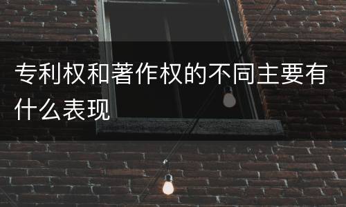 专利权和著作权的不同主要有什么表现