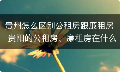 贵州怎么区别公租房跟廉租房 贵阳的公租房、廉租房在什么地方?