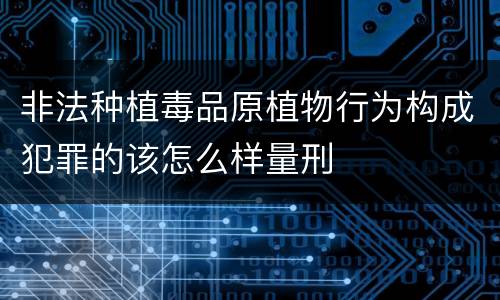 非法种植毒品原植物行为构成犯罪的该怎么样量刑