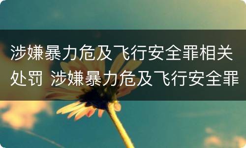 涉嫌暴力危及飞行安全罪相关处罚 涉嫌暴力危及飞行安全罪相关处罚决定