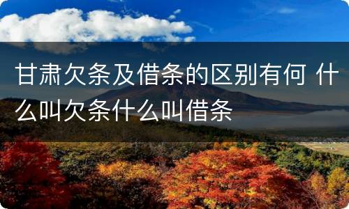 甘肃欠条及借条的区别有何 什么叫欠条什么叫借条