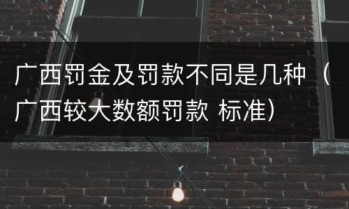 广西罚金及罚款不同是几种（广西较大数额罚款 标准）