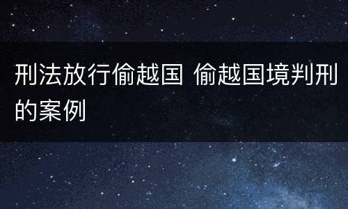 刑法放行偷越国 偷越国境判刑的案例