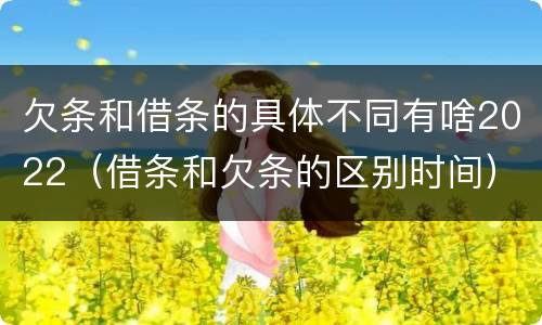 欠条和借条的具体不同有啥2022（借条和欠条的区别时间）