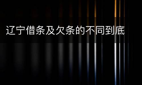 辽宁借条及欠条的不同到底
