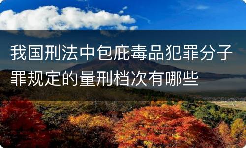 我国刑法中包庇毒品犯罪分子罪规定的量刑档次有哪些