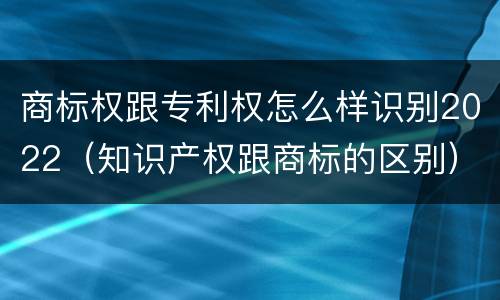 商标权跟专利权怎么样识别2022（知识产权跟商标的区别）