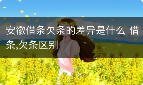 安徽借条欠条的差异是什么 借条,欠条区别