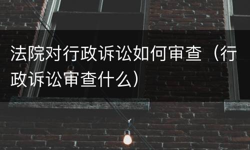 法院对行政诉讼如何审查（行政诉讼审查什么）