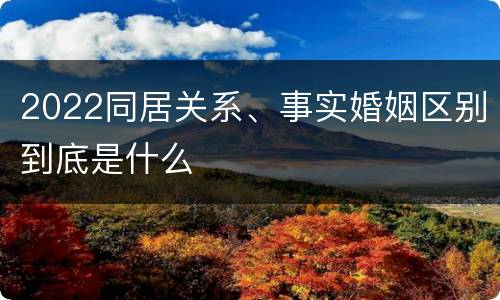 2022同居关系、事实婚姻区别到底是什么