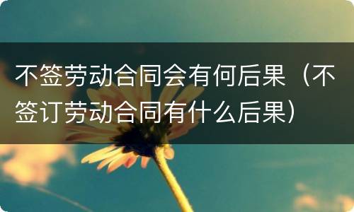 不签劳动合同会有何后果（不签订劳动合同有什么后果）