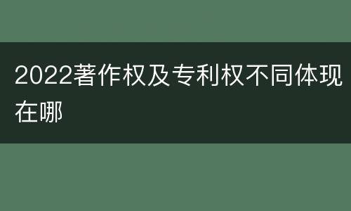 2022著作权及专利权不同体现在哪