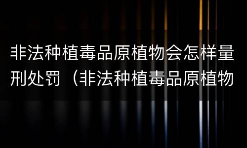 非法种植毒品原植物会怎样量刑处罚（非法种植毒品原植物会怎样量刑处罚案例）