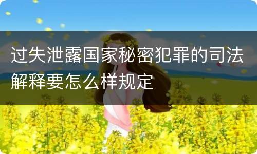 过失泄露国家秘密犯罪的司法解释要怎么样规定