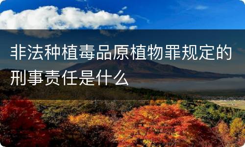 非法种植毒品原植物罪规定的刑事责任是什么
