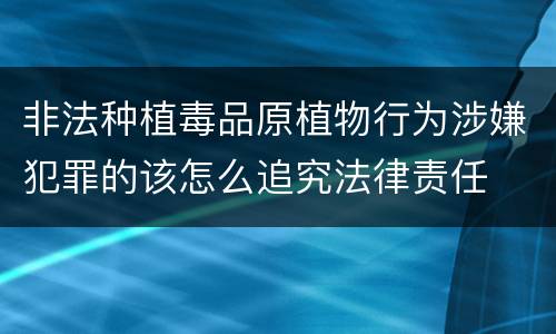 非法种植毒品原植物行为涉嫌犯罪的该怎么追究法律责任