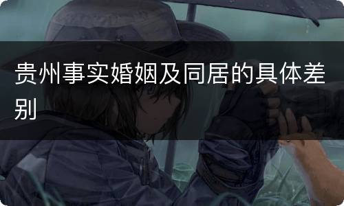 贵州事实婚姻及同居的具体差别