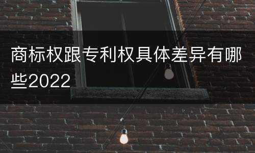 商标权跟专利权具体差异有哪些2022