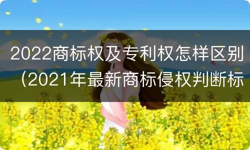 2022商标权及专利权怎样区别（2021年最新商标侵权判断标准）