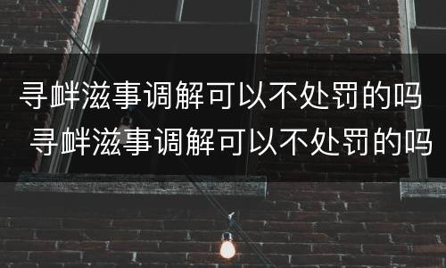 寻衅滋事调解可以不处罚的吗 寻衅滋事调解可以不处罚的吗法院