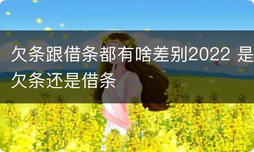 欠条跟借条都有啥差别2022 是欠条还是借条