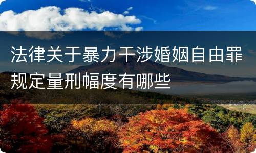 法律关于暴力干涉婚姻自由罪规定量刑幅度有哪些