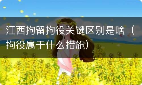 江西拘留拘役关键区别是啥（拘役属于什么措施）