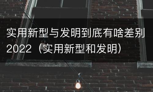 实用新型与发明到底有啥差别2022（实用新型和发明）