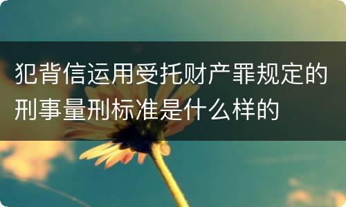 犯背信运用受托财产罪规定的刑事量刑标准是什么样的
