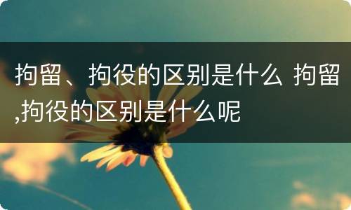 拘留、拘役的区别是什么 拘留,拘役的区别是什么呢