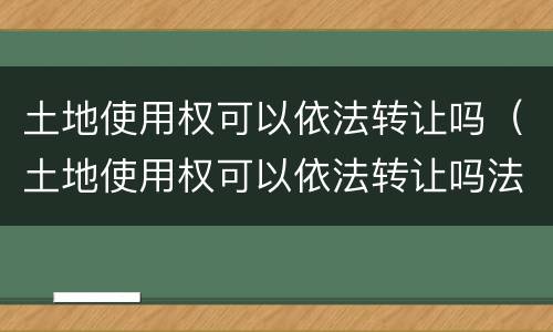 土地使用权可以依法转让吗（土地使用权可以依法转让吗法律规定）