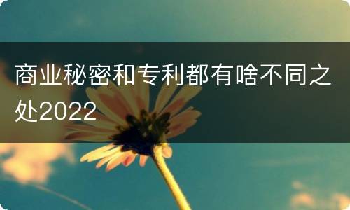 商业秘密和专利都有啥不同之处2022