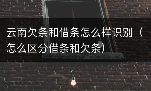 云南欠条和借条怎么样识别（怎么区分借条和欠条）