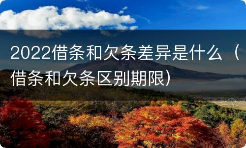 2022借条和欠条差异是什么（借条和欠条区别期限）