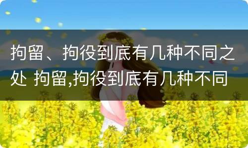 拘留、拘役到底有几种不同之处 拘留,拘役到底有几种不同之处呢