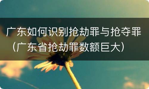 广东如何识别抢劫罪与抢夺罪（广东省抢劫罪数额巨大）