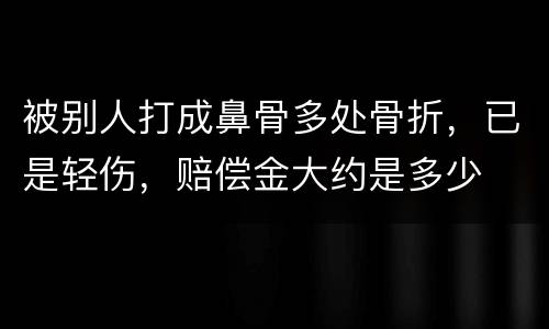 被别人打成鼻骨多处骨折，已是轻伤，赔偿金大约是多少