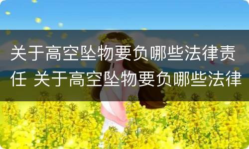 关于高空坠物要负哪些法律责任 关于高空坠物要负哪些法律责任和义务