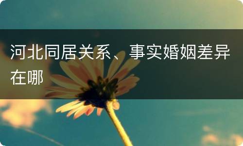 河北同居关系、事实婚姻差异在哪