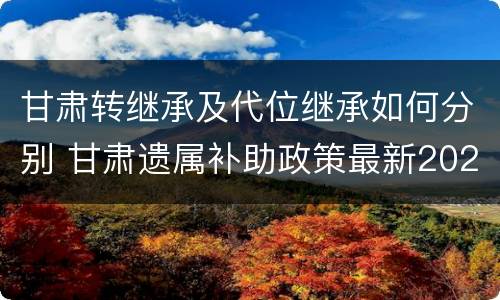 甘肃转继承及代位继承如何分别 甘肃遗属补助政策最新2021