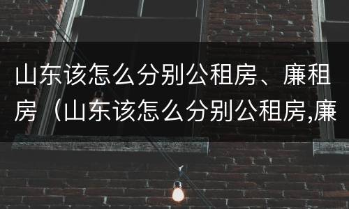 山东该怎么分别公租房、廉租房（山东该怎么分别公租房,廉租房和商品房）